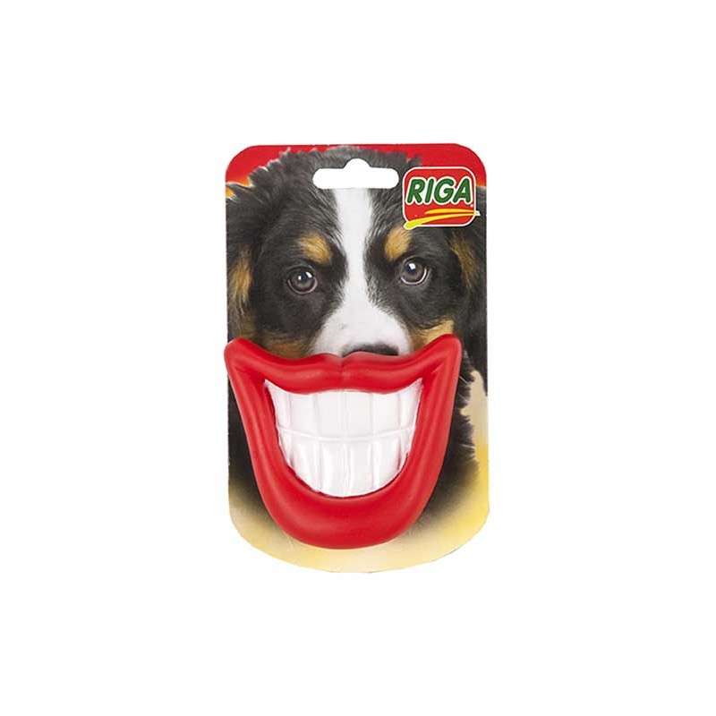 Sourire belle gueule jouet chien
