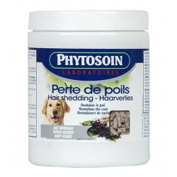 Perte de poils chiens