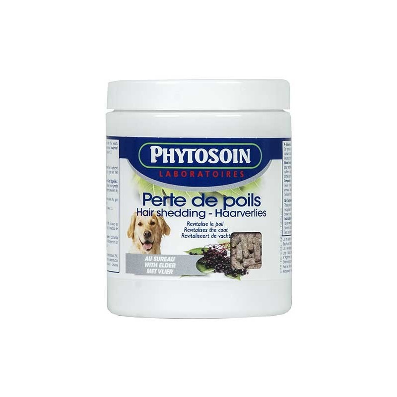 Perte de poils chiens