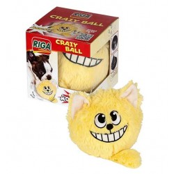 Crazy Ball