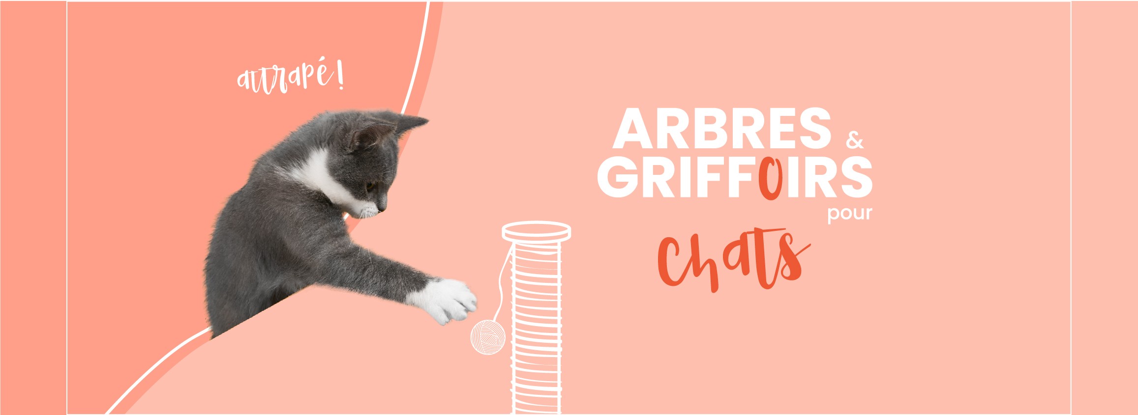 Arbre-à-chat