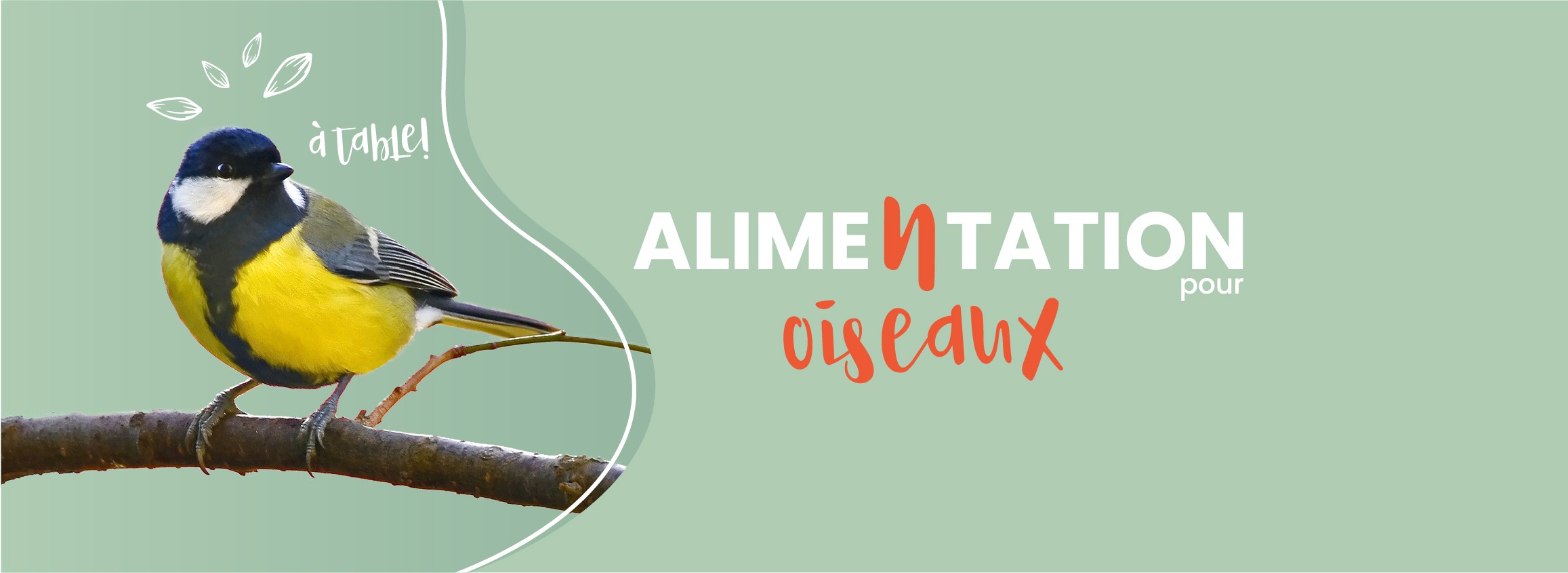 Oiseaux alimentation